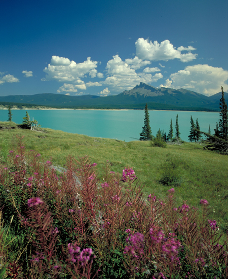 Abraham Lake in West Central Alberta, 1.25 hour drive from The Prairie Creek Inn