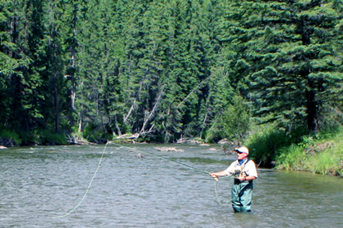 fish  The Prairie Creek Inn